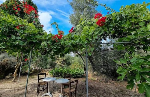 Kouvalata Apartment | Cozy Superior Seaview Nest - Kefalonia Garden Gem
