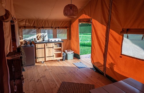 De Bus House | Glamping in Sint-Oedenrode near Eindhoven