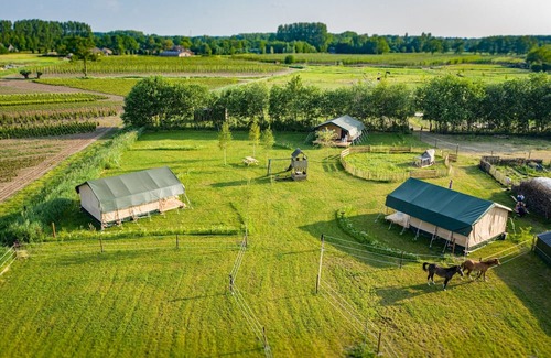 De Bus House | Glamping in Sint-Oedenrode near Eindhoven