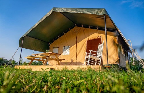 De Bus House | Glamping in Sint-Oedenrode near Eindhoven