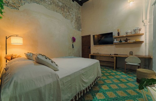 Zona Centro Apartment | Casa Lanz #1 - Old House in the Heart of the City