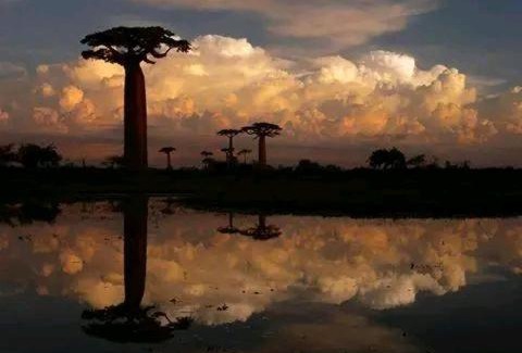 Morondava Other | Madagascarmystery Tour Operator