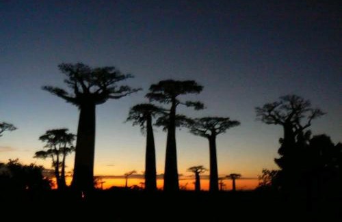 Morondava Other | Madagascarmystery Tour Operator