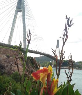Kabil Hotel | Barelang Bridge Hotel