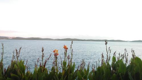 Kabil Hotel | Barelang Bridge Hotel