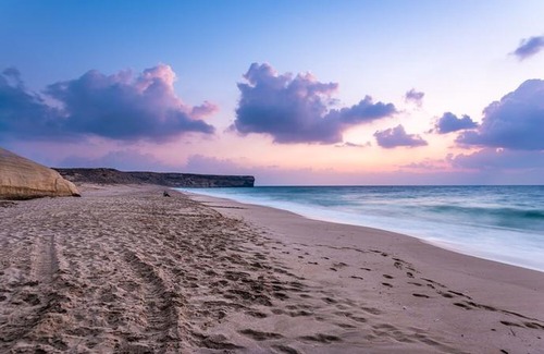 Al Hadd Hotel | Ras Al Jinz Turtle Reserve