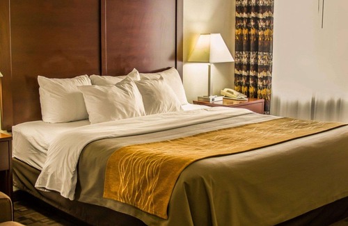 Birch Run Hotel | Comfort Inn Birch Run