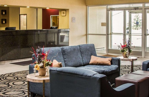 Birch Run Hotel | Comfort Inn Birch Run