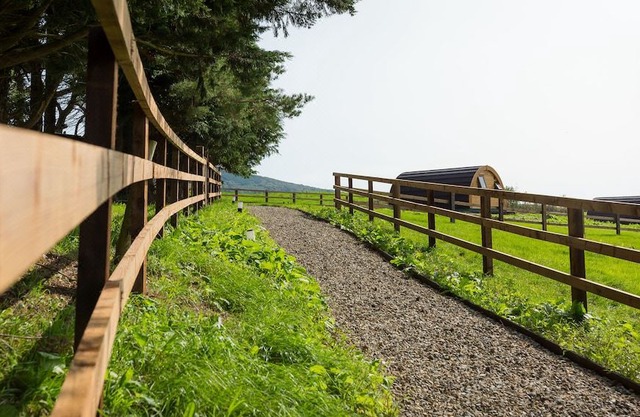 Luxury Two-Bed Glamping Pod in County Clare 2