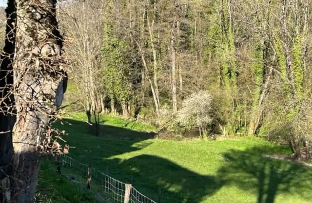 Appartement au Cœur du Jura