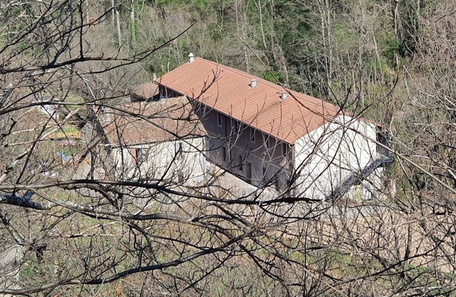 L'étape Dumas