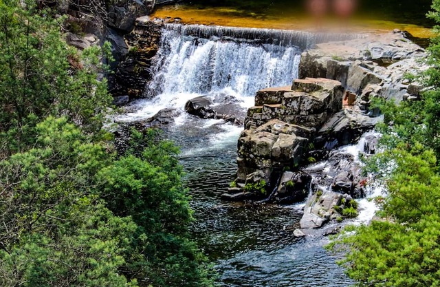 5 Minutes From the River Beach, Room for Groups, Góis in a Quiet Rural Setting