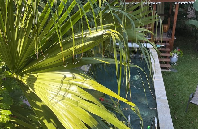 Charming bungalow, ideally located for exploring the Orangery trails