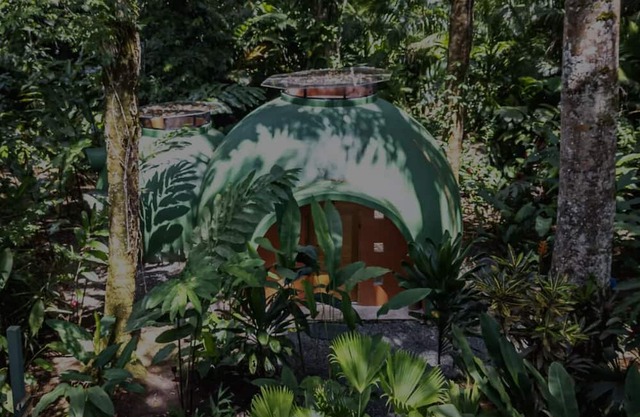 Dome shaped bungalow in a lush tropical forest, steps away from ocean views.