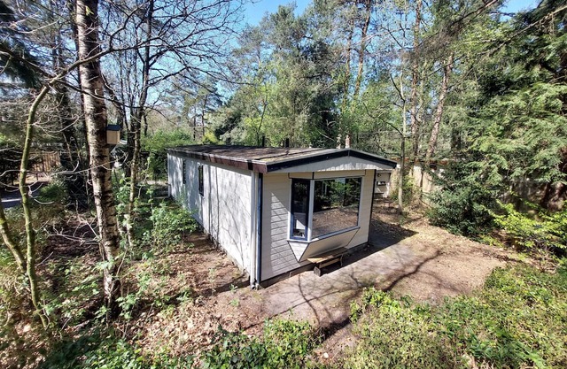 Forest cottage Dennenrust on the Veluwe in Hattemerbroek. Pets are welcome!