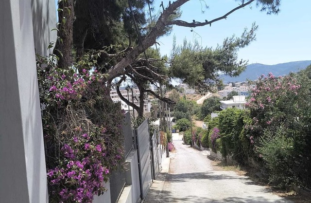 Port Apartment at Porto Rafti -Attiki Greece sleeping 8 for min 5 days stay