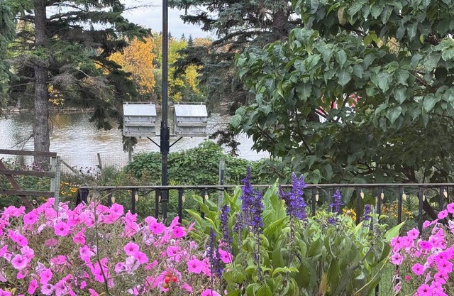 Bayside home with birds, butterflies, deer, and gardens