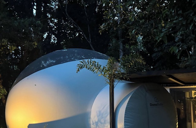 BUBBLE SKYS EVASION