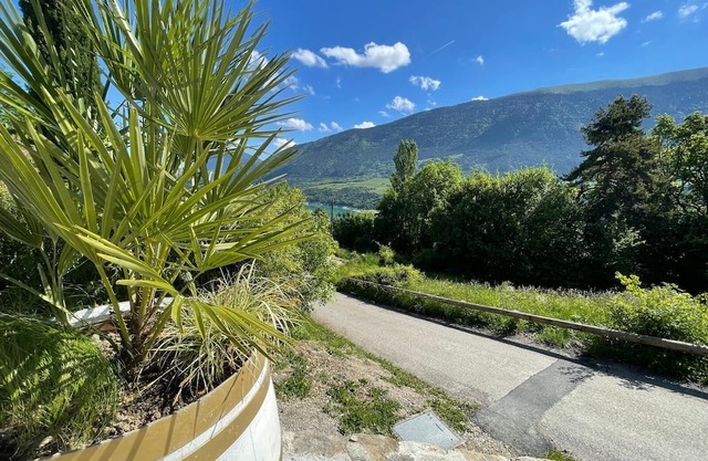 Gite 2 people - 10 mn from Lake Monteynard Avignonet - TREFFORT