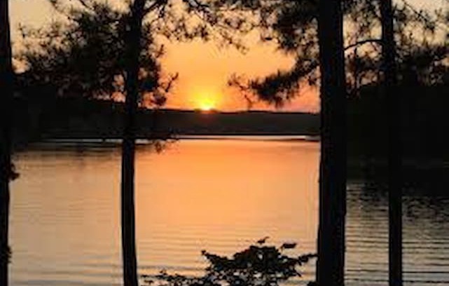 Wedowee House | Featured on HGTV! Simple Tiny House@Lake Wedowee
