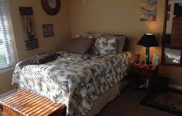 Willow Glen South - Lincoln Glen Bed & Breakfast | The Healy Home in SJ - Willow Glen