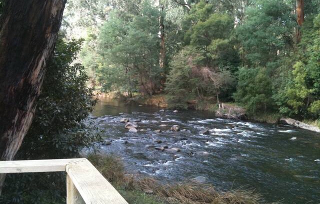 Warburton House | Willows, A Cottage on the River