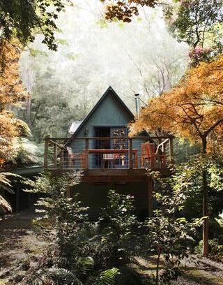 Sassafras Cabin | Santosa Cottage a Sweet Retreat for Two