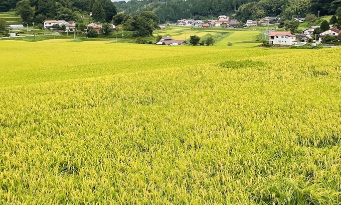 Okuizumo-cho Hotel | Jeck