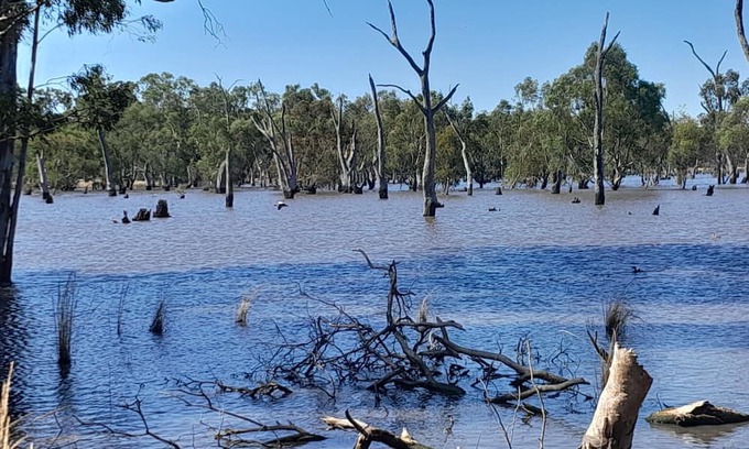 Tatiara House | Comfortable caravan [24 m2] Lowest prices in the area Peaceful Amenities nearby.