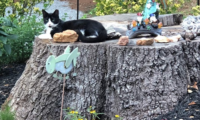 Powdersville House | 15Min to Dwntwn Greenville/35 to Clemson/1 1/2Hrs to Asheville-Sleeps 13