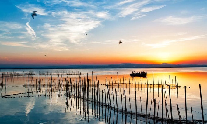 Pobles del Sud Apartment | Suite Superior con Vistas Albufera Dreams Nature Suites