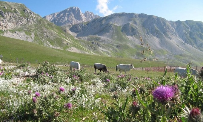Montebello di Bertona Apartment | The perfect place for a mountain and beach vacation!