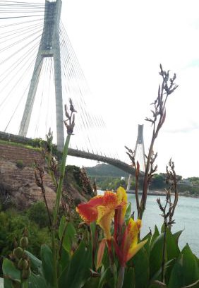 Kabil Hotel | Barelang Bridge Hotel